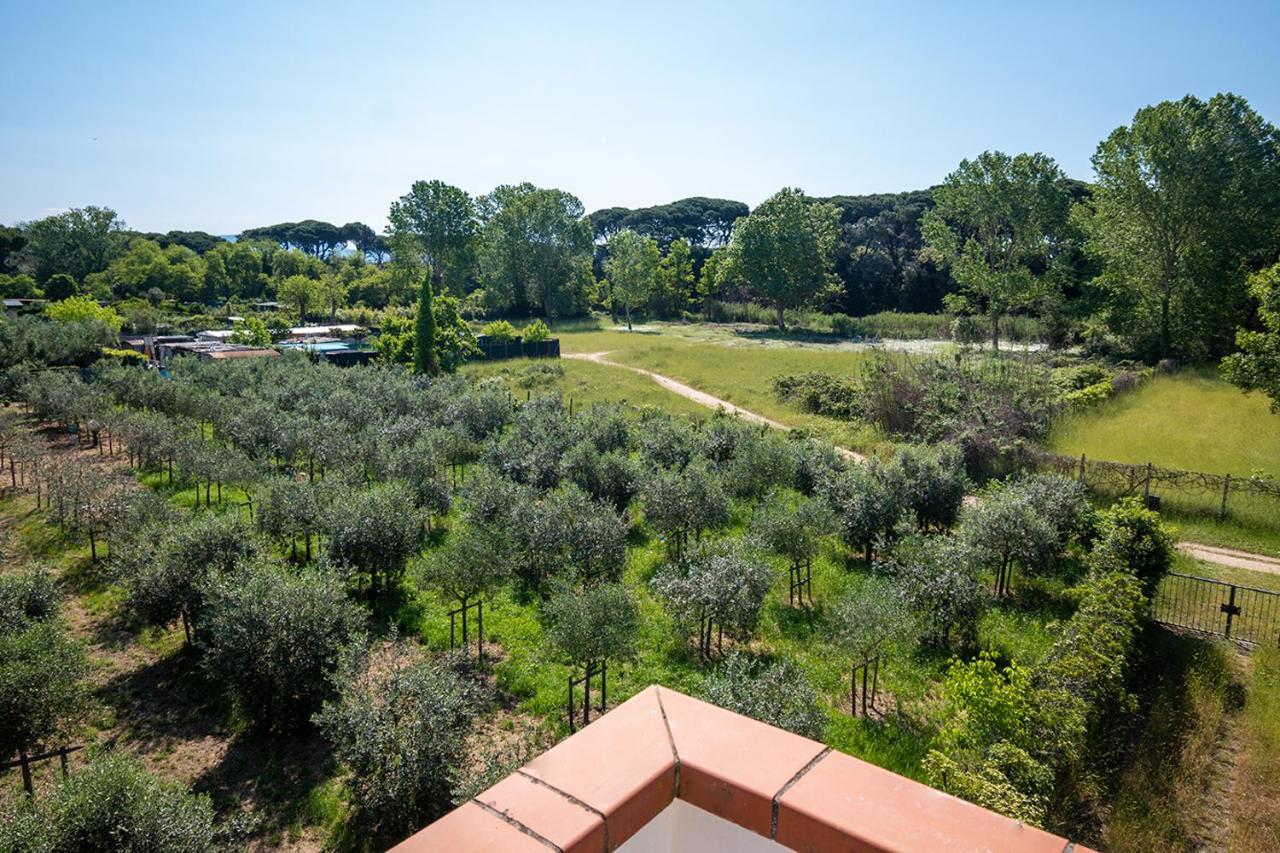 Apartmán Attico Di Torsten Torre del Lago Puccini Exteriér fotografie